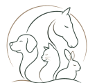 logo-icon-transparent